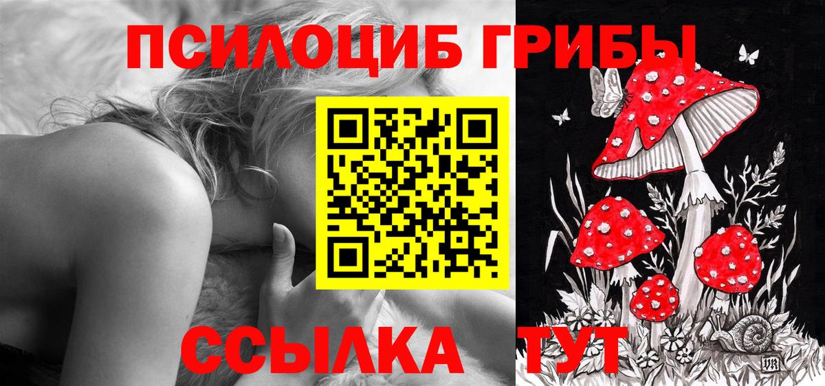Галлюциногенные грибы мицелий  Вход с VPN  наркотики  Саров 